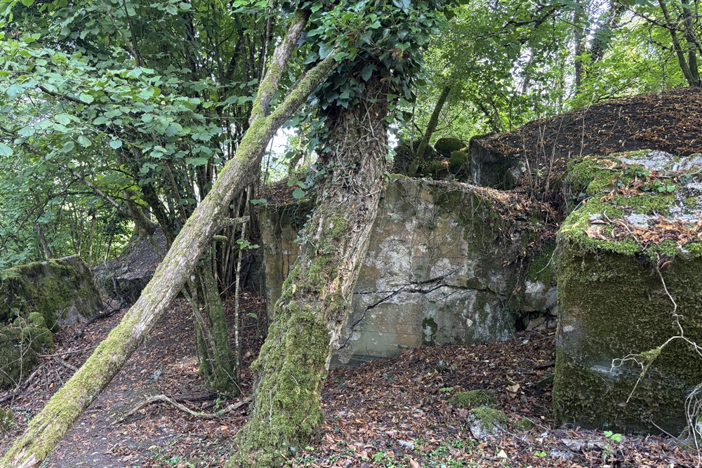 Westwall - Restant Bunker Echternacherbrück #1