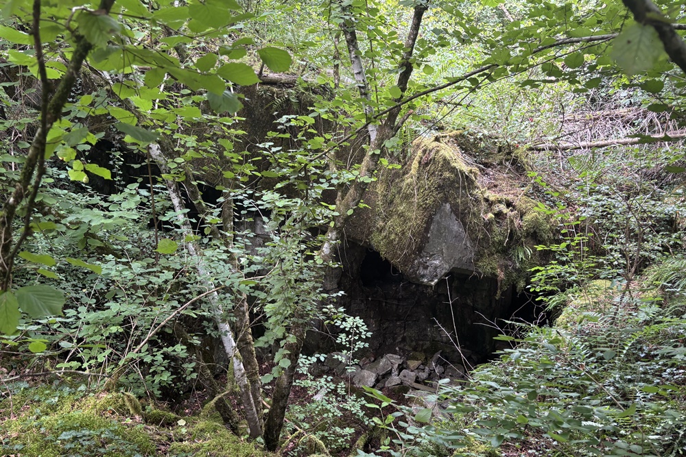 Westwall - Restant Bunker Echternacherbrück #1