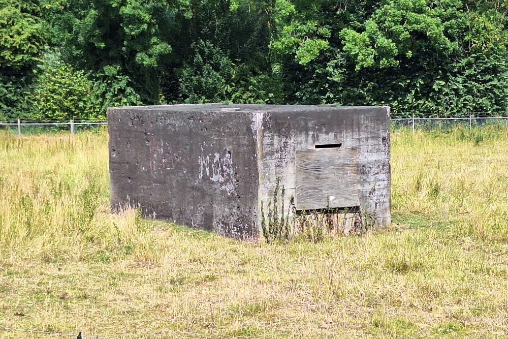 Grebbe Line - PAG-Casemate P11 Grebbesluis #2