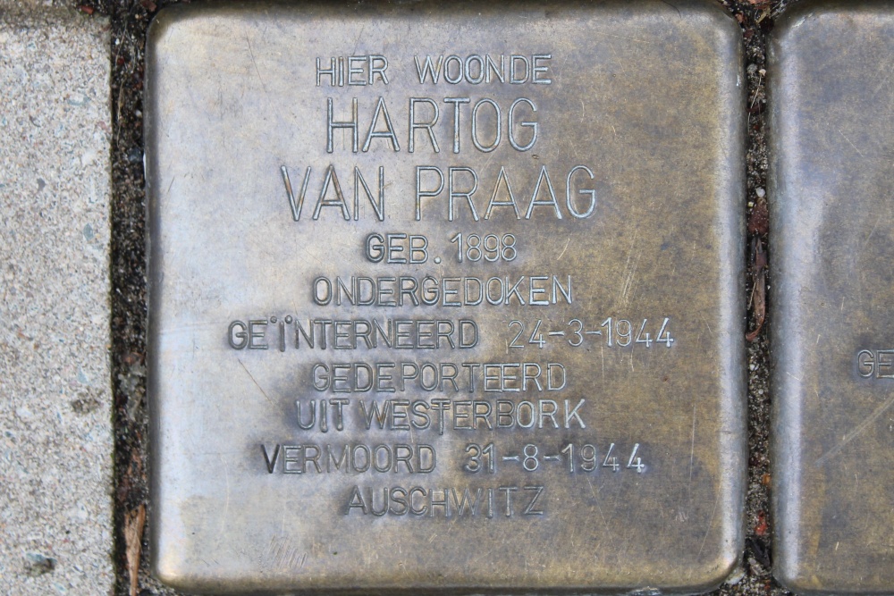 Stolpersteine Uithoornstraat 2 #2