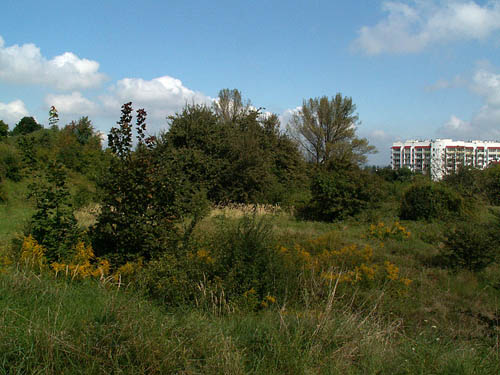 Oostenrijkse Oorlogsbegraafplaats Nr.385