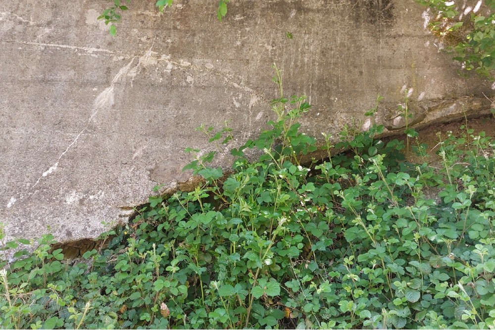 German Bunker Dasburg #6