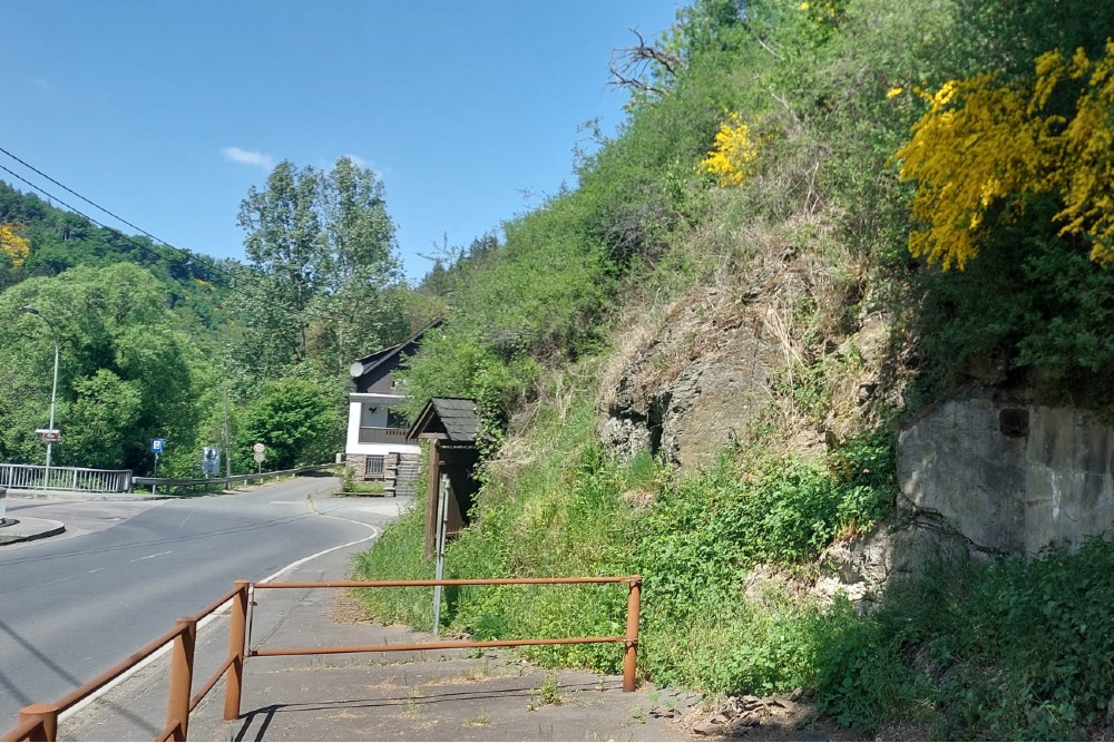 German Bunker Dasburg #8