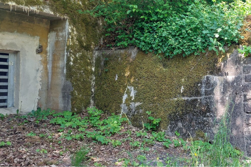 Tunnel System Dasburg #5