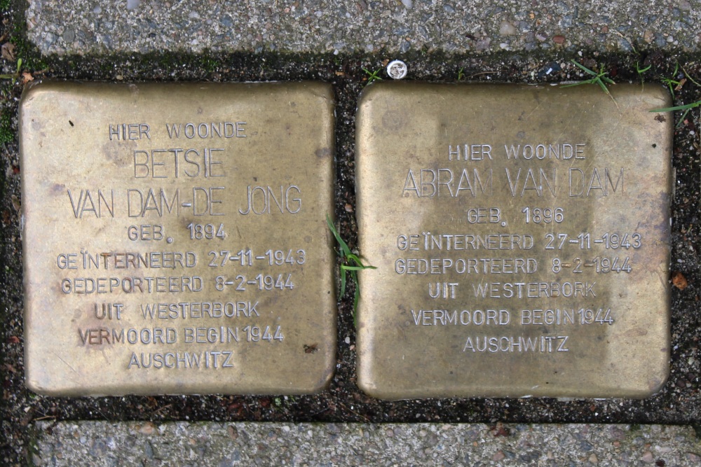 Stumbling Stones Trompenburgstraat 117 #1