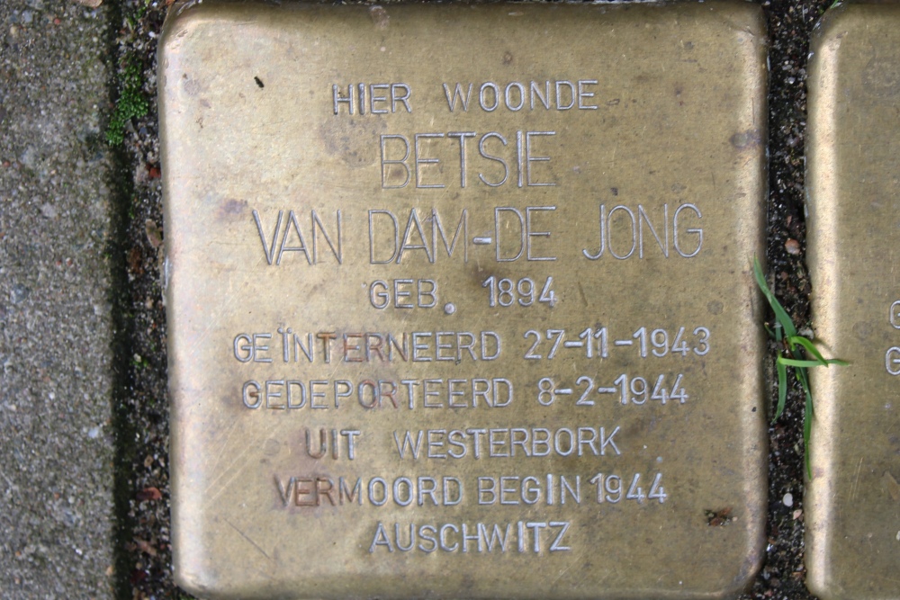 Stumbling Stones Trompenburgstraat 117 #2
