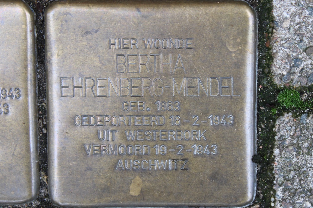 Stolpersteine Gaaspstraat 63 #5