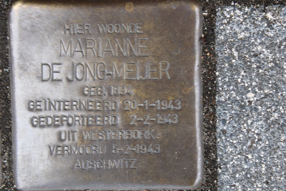 Stolpersteine Rijnstraat 228 #3