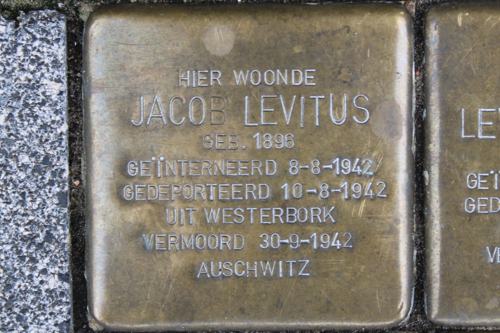 Stolpersteine Rijnstraat 217 #2