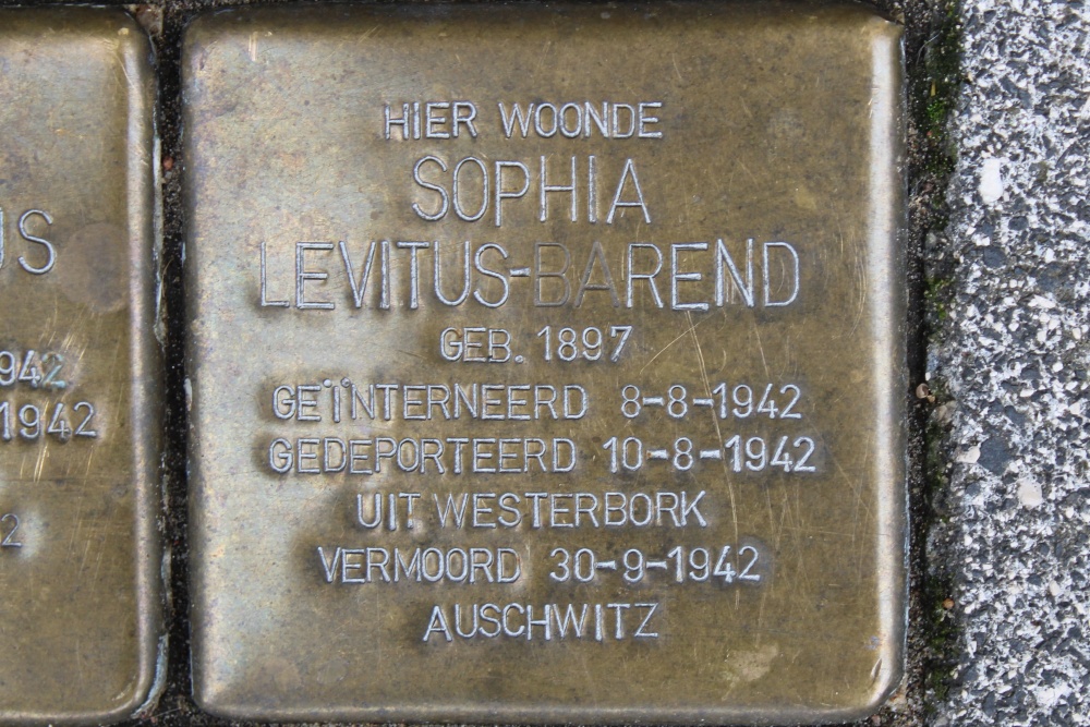 Stolpersteine Rijnstraat 217 #3