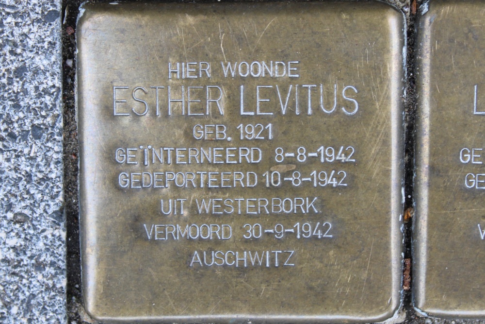 Stolpersteine Rijnstraat 217 #4