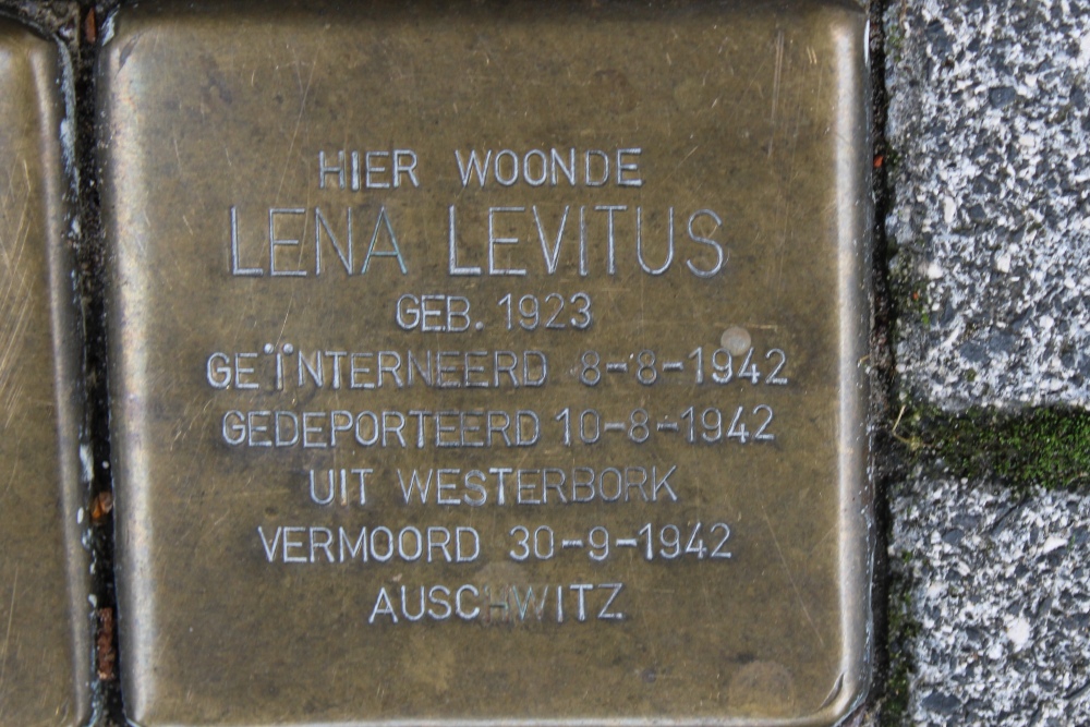 Stolpersteine Rijnstraat 217 #5