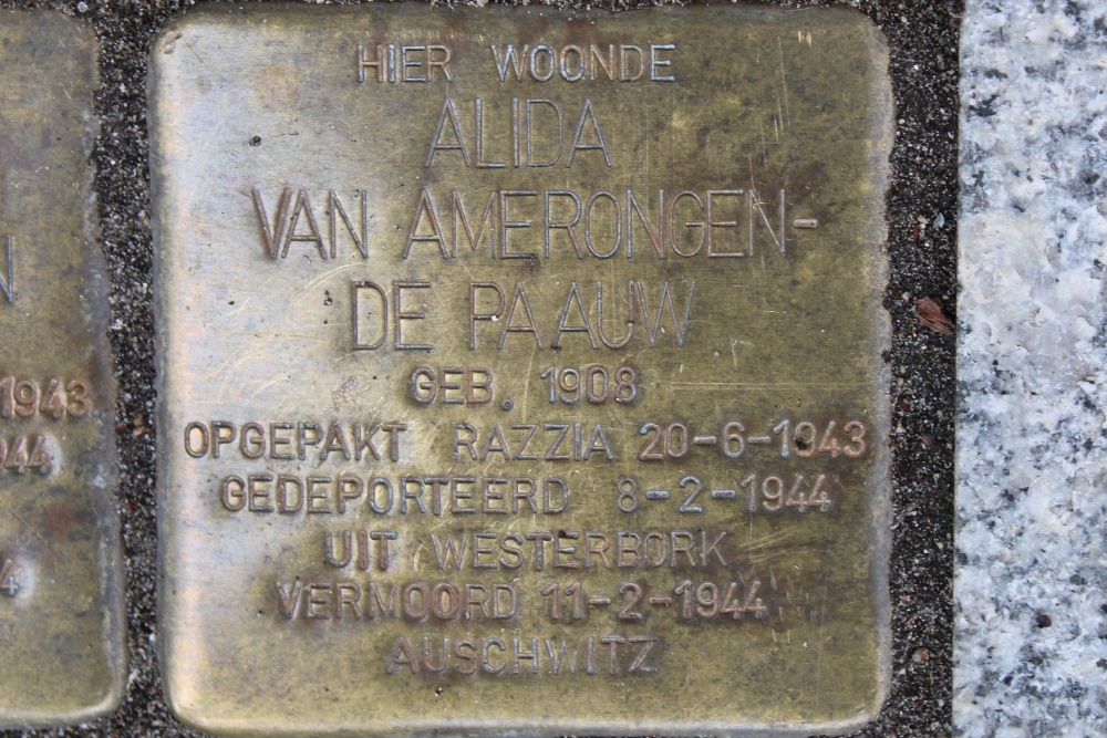 Stumbling Stones Rijnstraat 198 #5