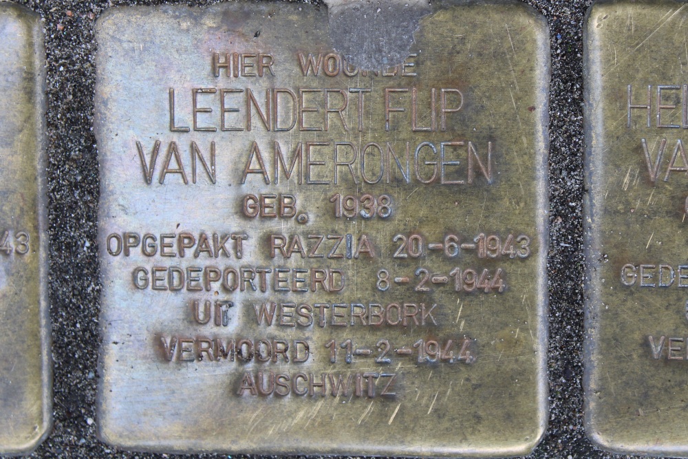 Stumbling Stones Rijnstraat 198 #7