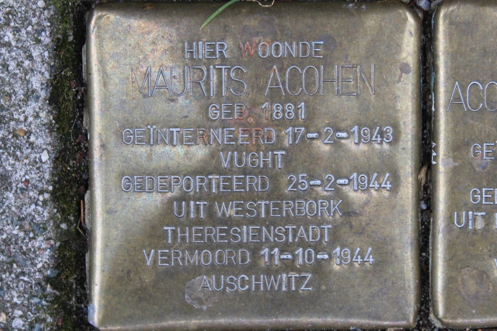 Stumbling Stones Hunzestraat 99 #2