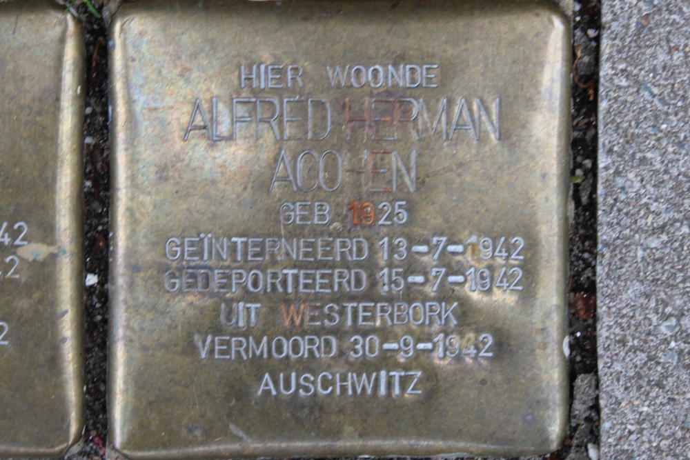 Stumbling Stones Hunzestraat 99 #5