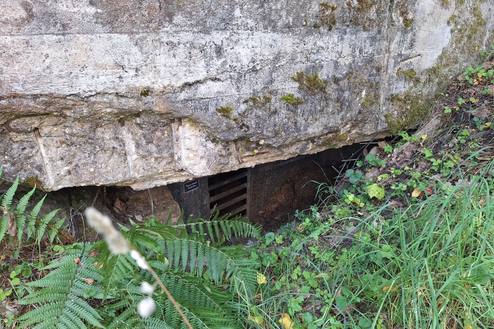 Restant Bunker Schleiden #3