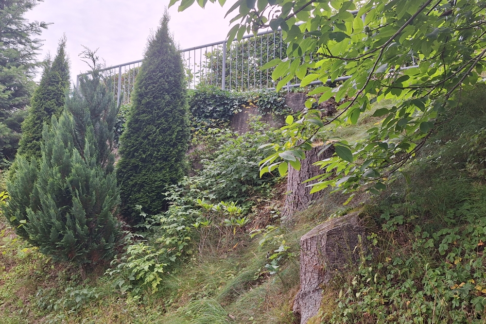 Remains Bunker Schleiden #2
