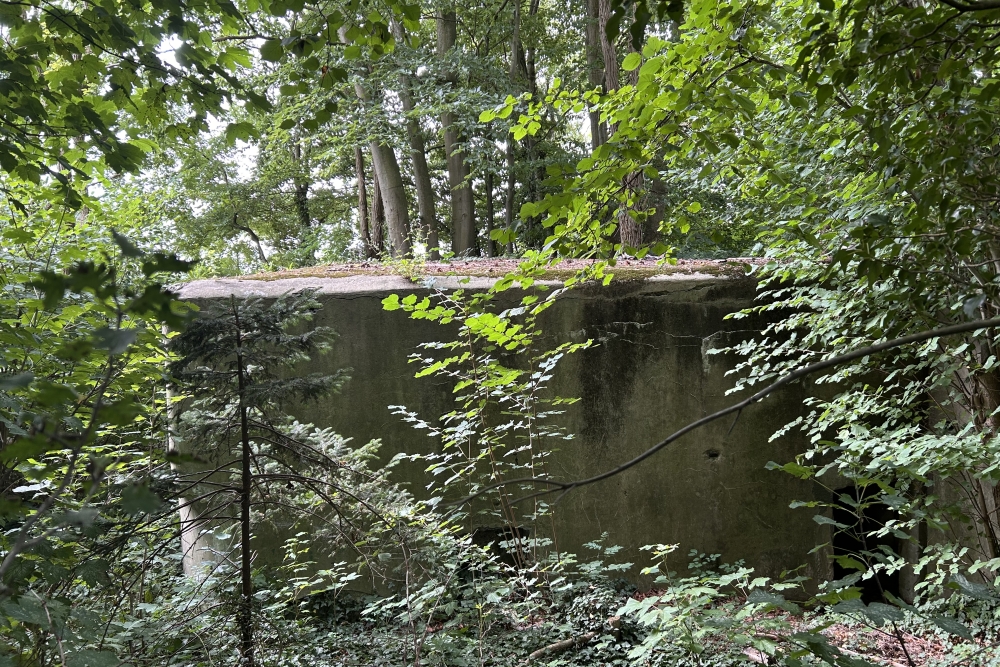 Bunker BM 31 at Limoy #2