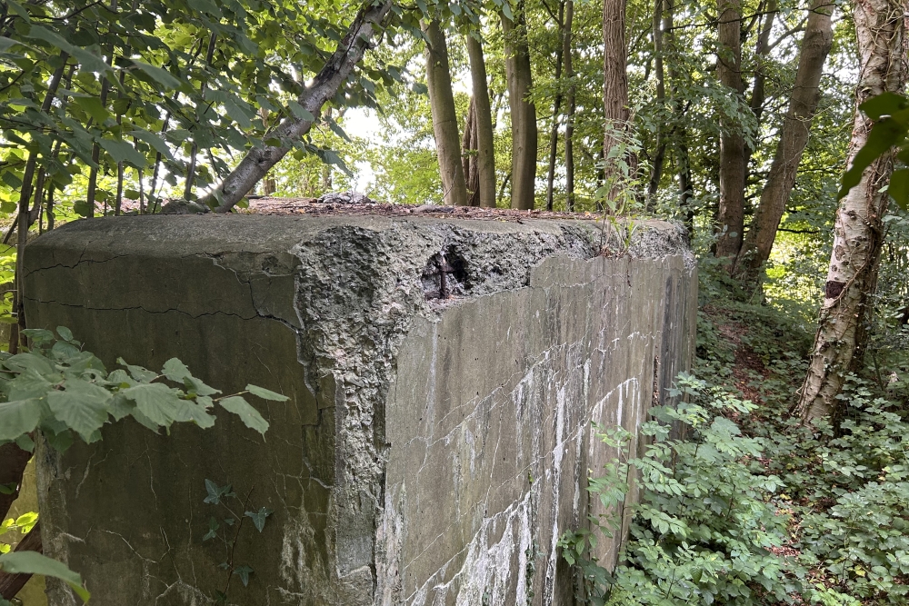 Bunker BM 31 at Limoy #4