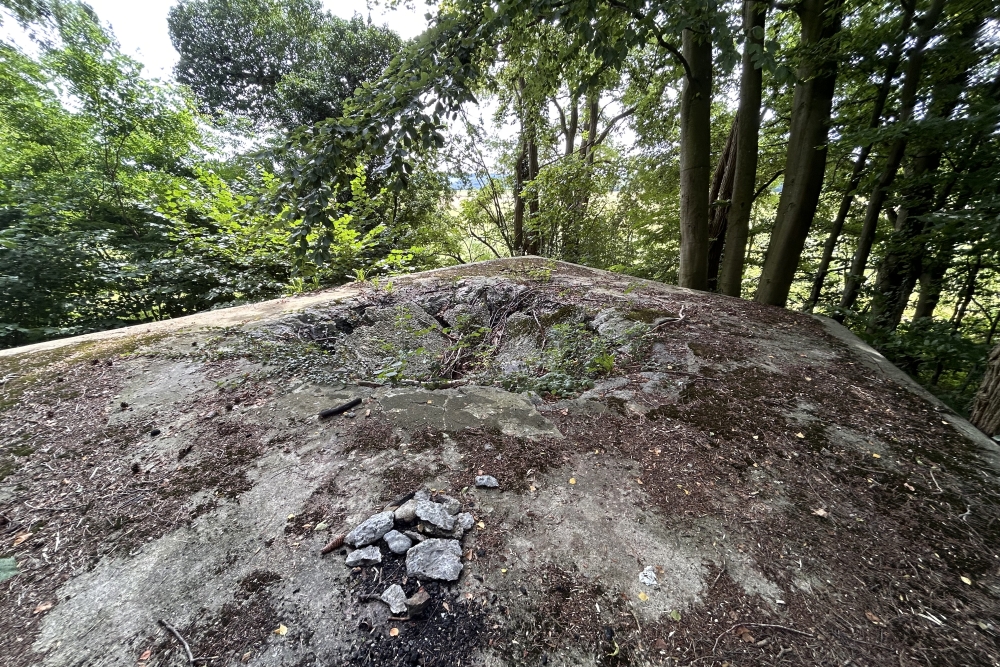Bunker BM 31 at Limoy #5