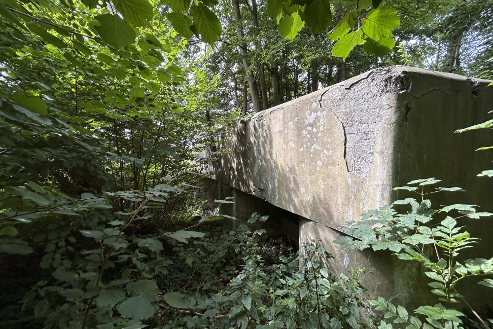Bunker BM 31 at Limoy #1