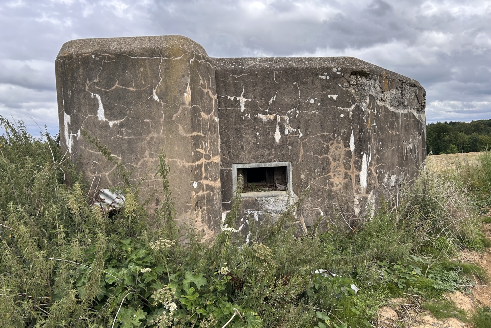 Bunker CM 9 at Franc-Waret #1
