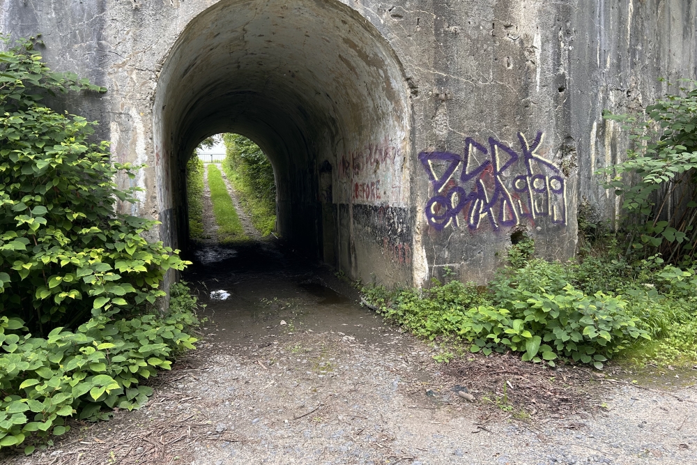 Fort de Suarlée #2