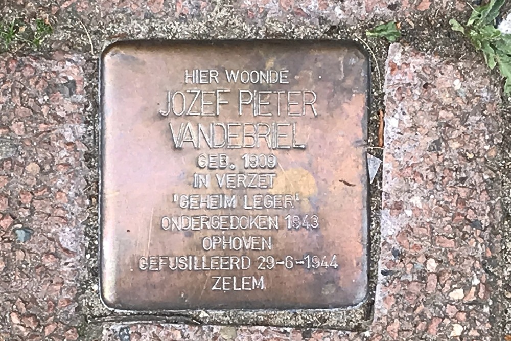 Stolperstein Het Dorp 7 #1