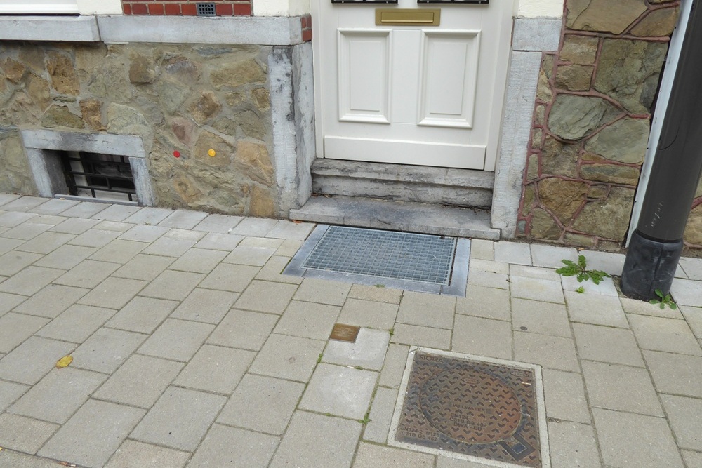Stumbling Stone Toekomststraat 52 #2