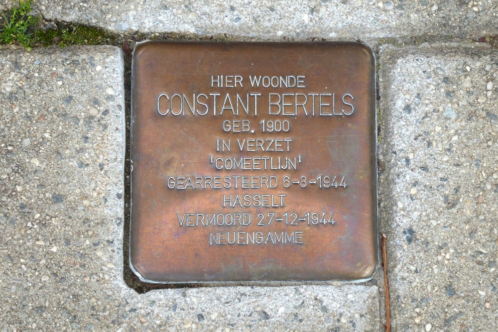 Stumbling Stone Weggevoerdenstraat 25