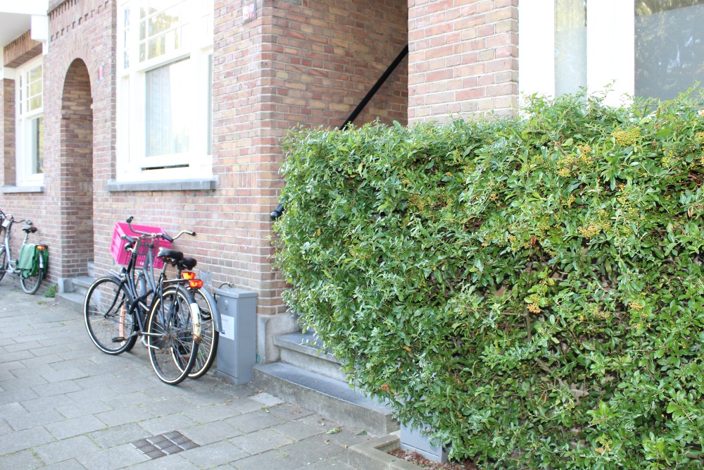 Stumbling Stones Amstelkade 162 #8