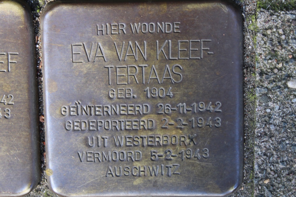 Stumbling Stones Van Ostadestraat 276 #3