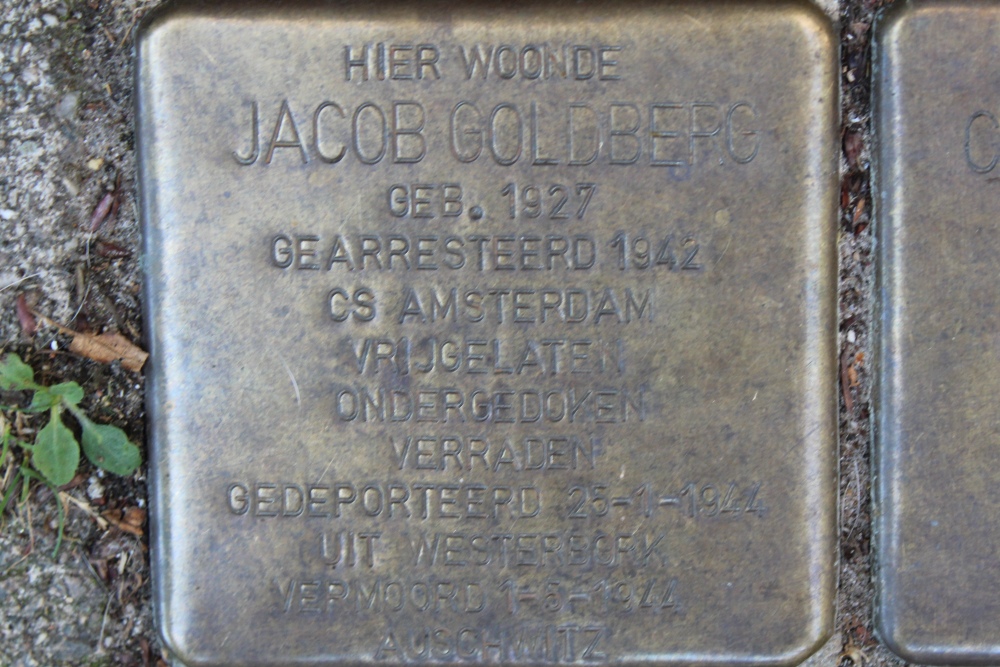 Stolpersteine Jan Lievensstraat 72 #4