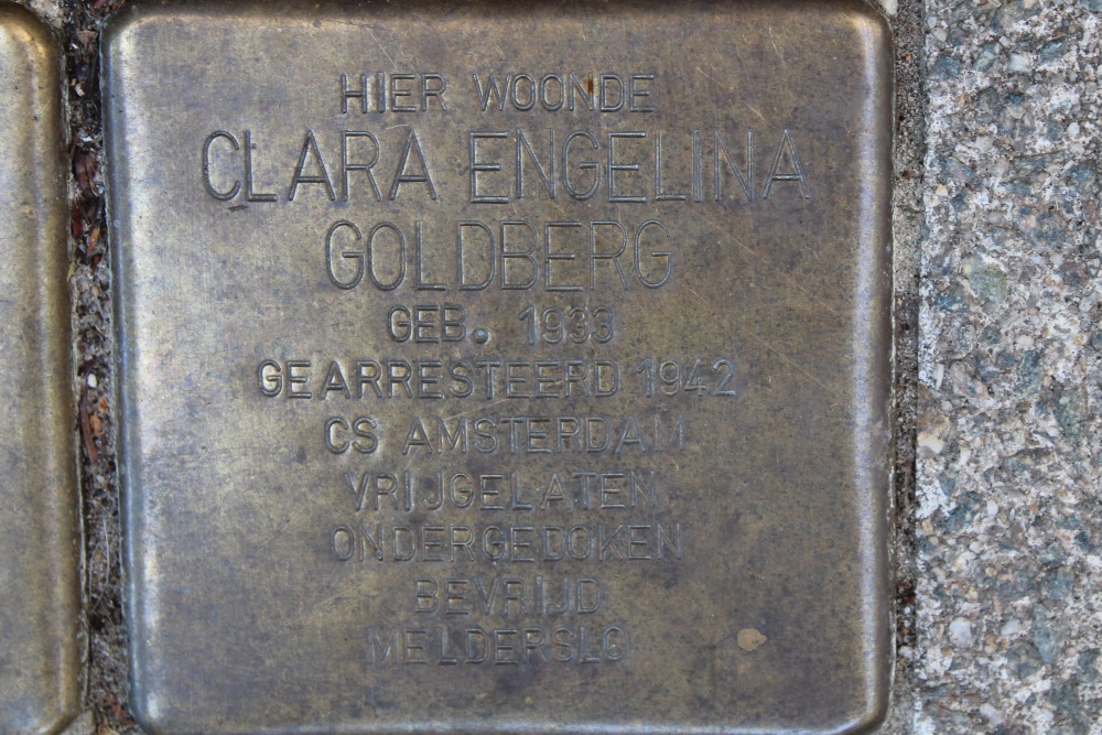 Stolpersteine Jan Lievensstraat 72 #5