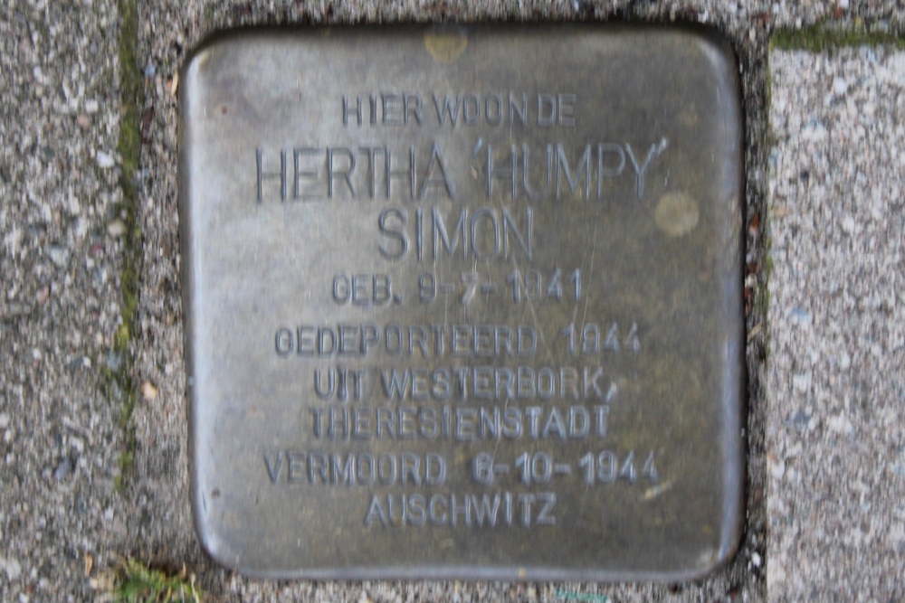 Stumbling Stone Geulstraat 7