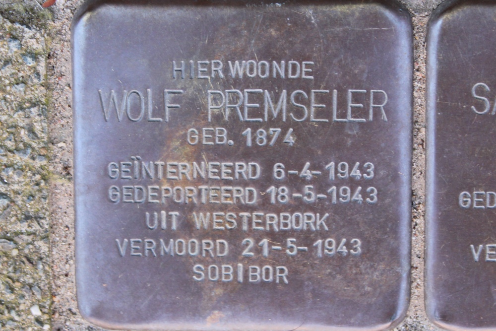 Stolpersteine Biesboschstraat 15 #2