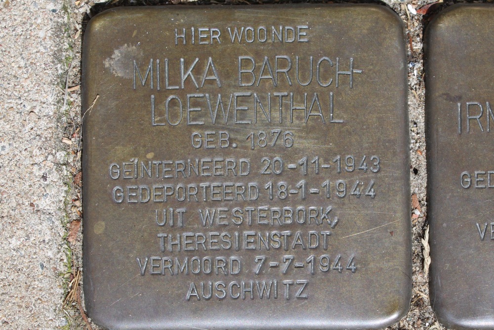 Stumbling Stones Biesboschstraat 52 #2
