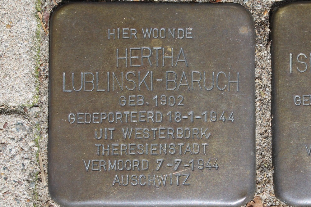 Stumbling Stones Biesboschstraat 52 #4
