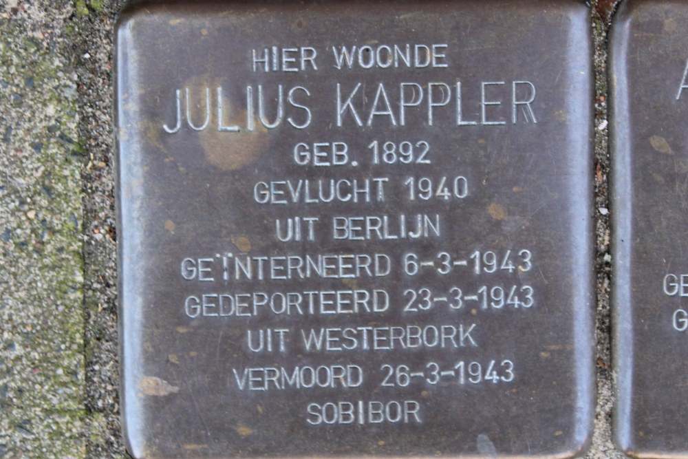 Stumbling Stones Biesboschstraat 71 #2