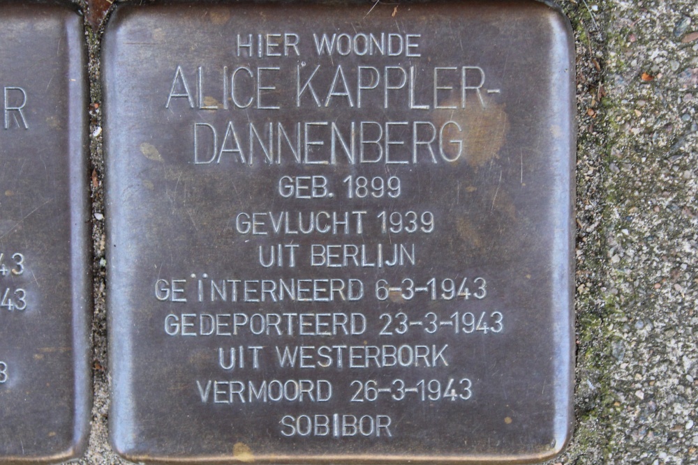 Stumbling Stones Biesboschstraat 71 #3
