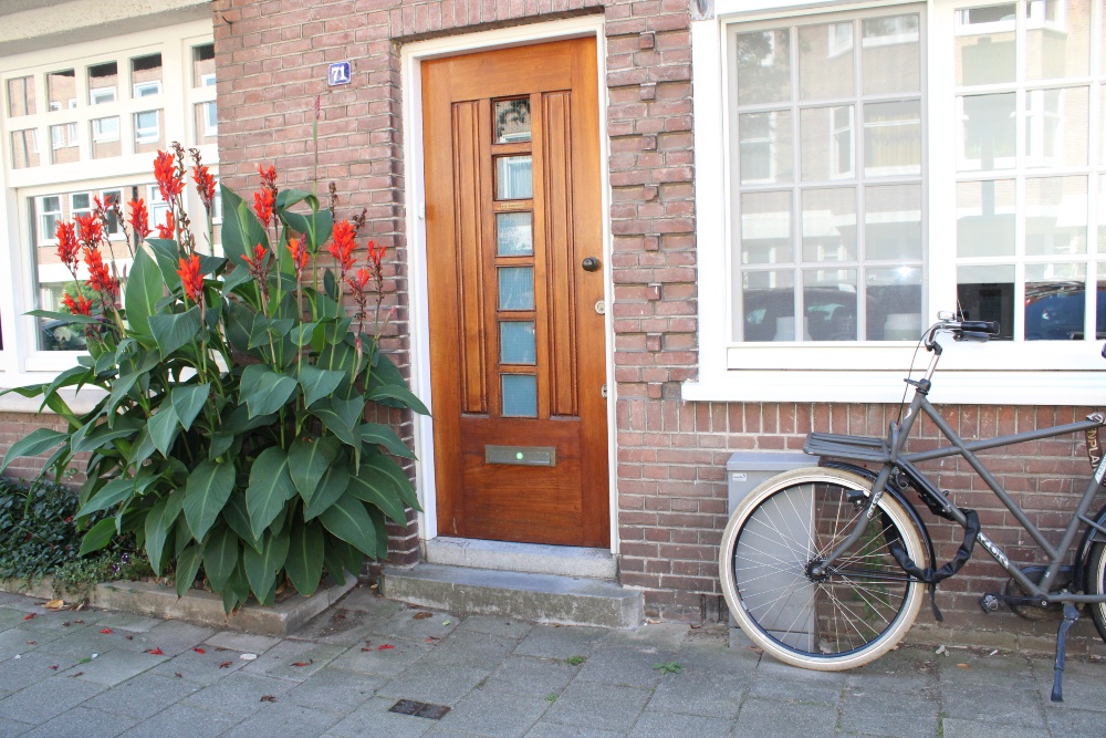 Stumbling Stones Biesboschstraat 71 #4