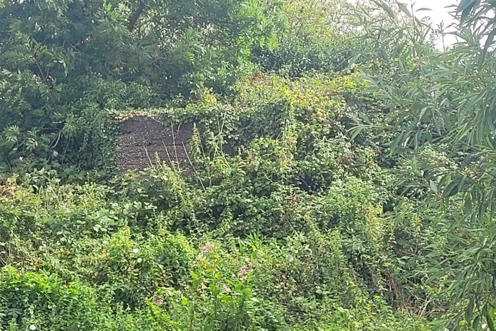 Bunker Type FW3/24 Coxley