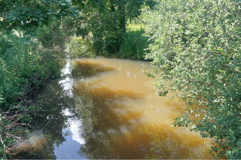 Tank Ditch #2