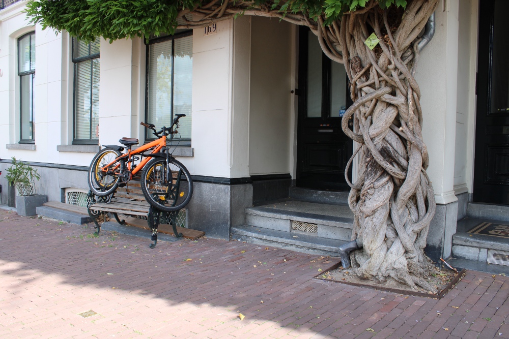 Stumbling Stone Amstel 169 #2