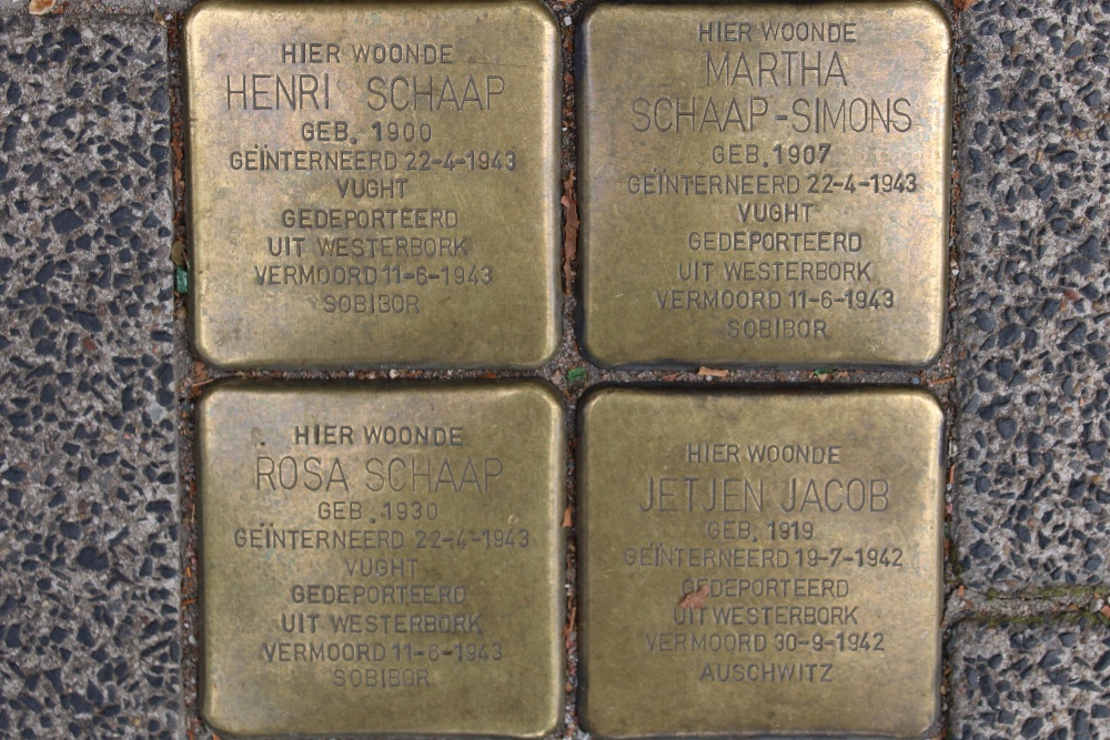 Stumbling Stones Plantage Middenlaan 9 #1
