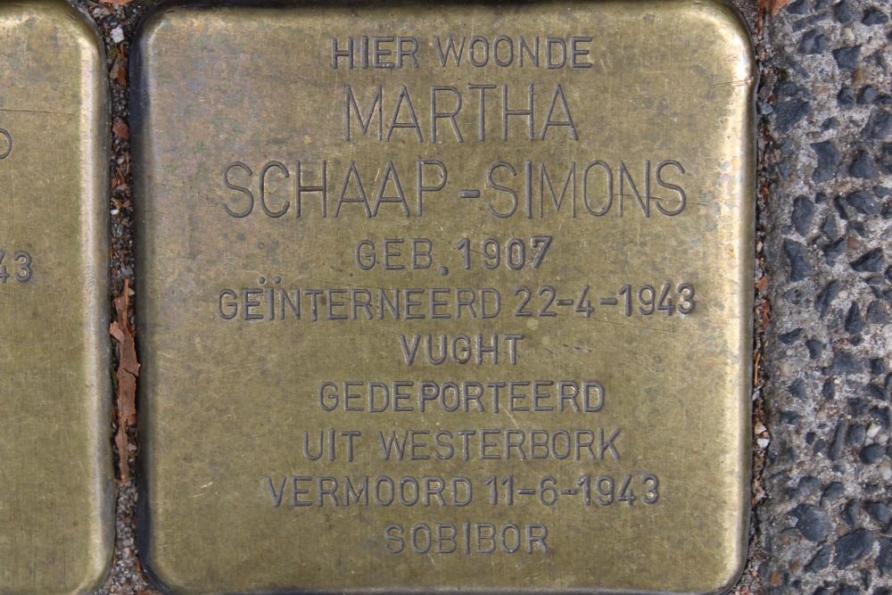 Stumbling Stones Plantage Middenlaan 9 #3