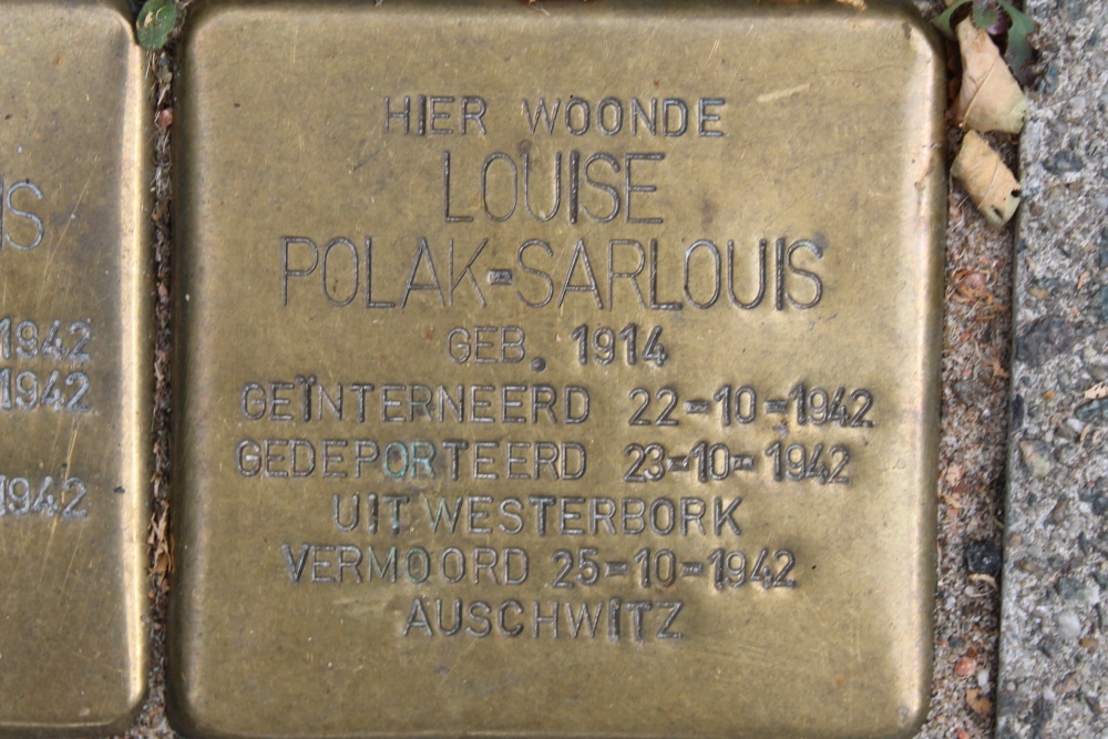 Stolpersteine Henri Polaklaan 17 #5