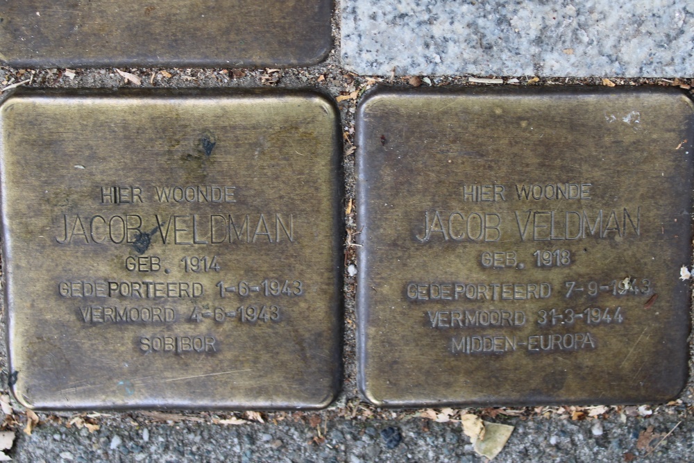Stolpersteine Henri Polaklaan 18-hs #6