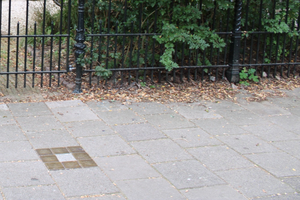 Stolpersteine Henri Polaklaan 18-hs #8